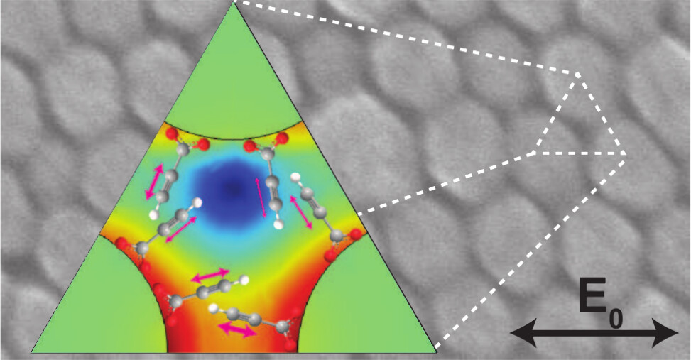 WJ_Chang_ACS_nano_2024